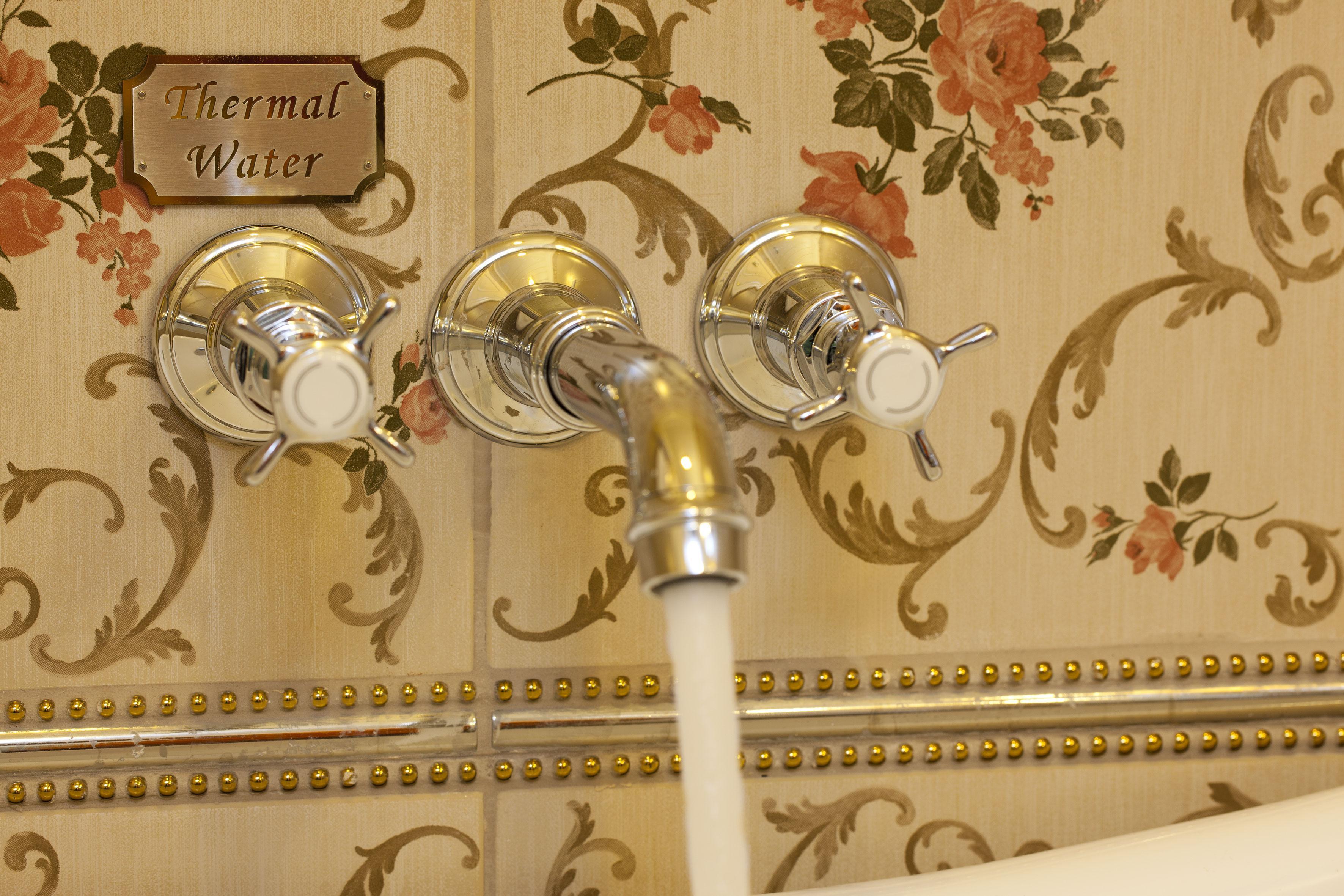 Limak Yalova Thermal Boutique Hotel Gokcedere Exteriér fotografie